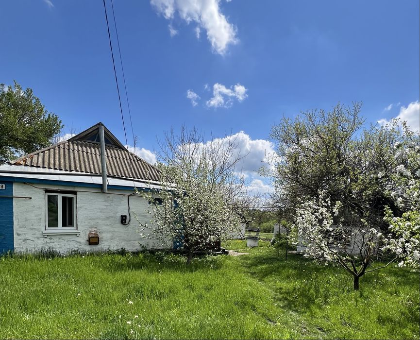 Продається будинок в с.Петропавлівка, Черкаська обл, м.Городище 7 км