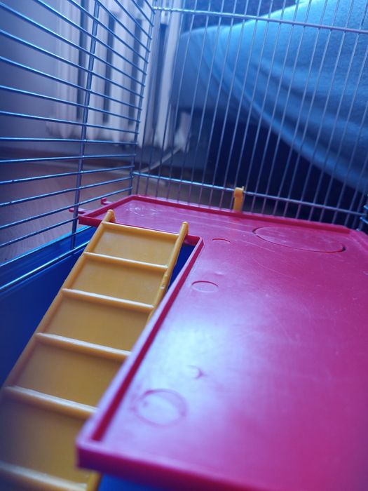 Sprzedam klatkę widoczną na zdjęciu dla ptaków lub  chomika