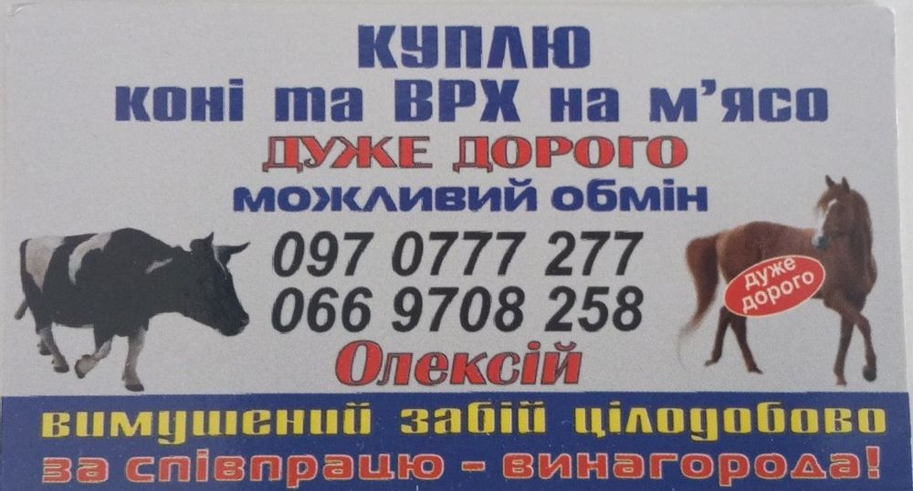 Заготівля коней та ВРХ дуже дорого та цілодобово.