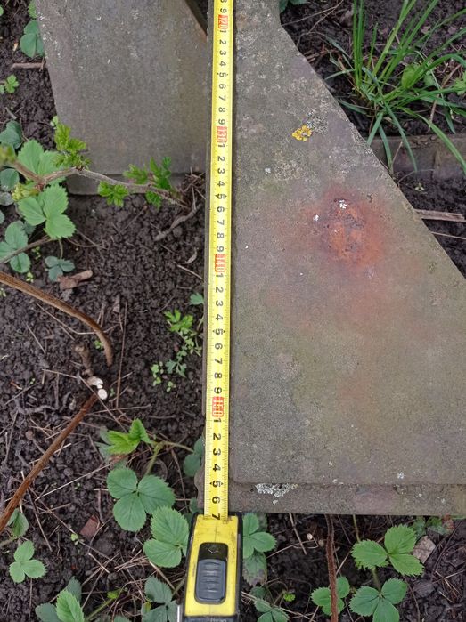 Роги до лісовоза