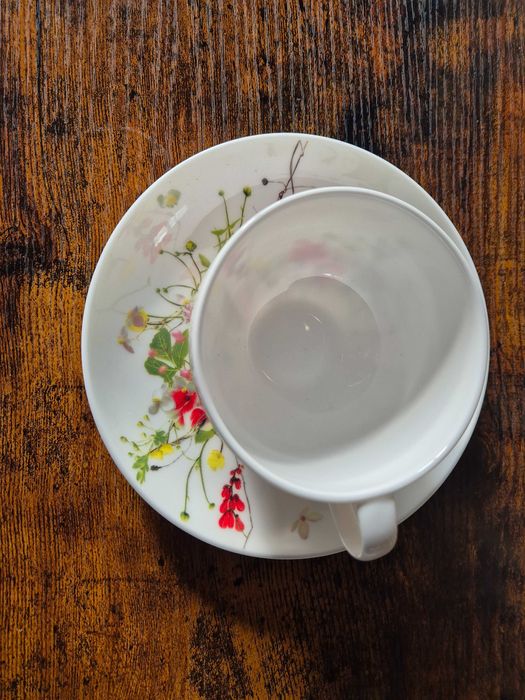 Filiżanka z serii Tajemniczy Ogród firmy Rosenthal, nowa