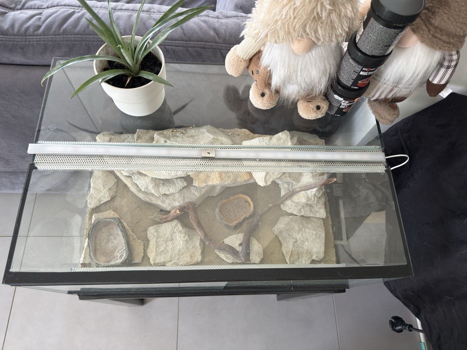 Terrarium z stolikiem