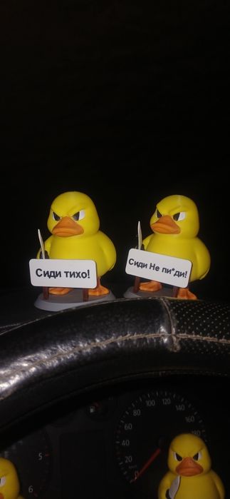 Качечки в машину