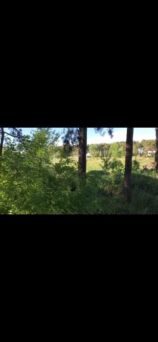 Живописный участок с соснами, свой водоём, все коммуникации.