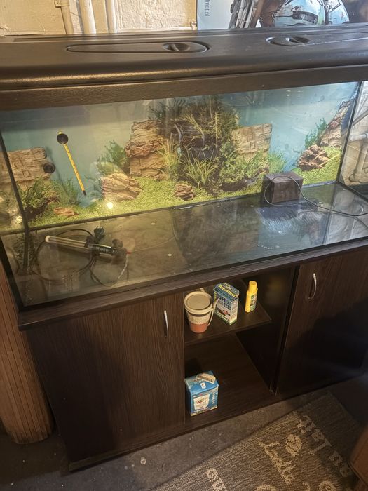 Akwarium  z  dedykowana szafka 240 l