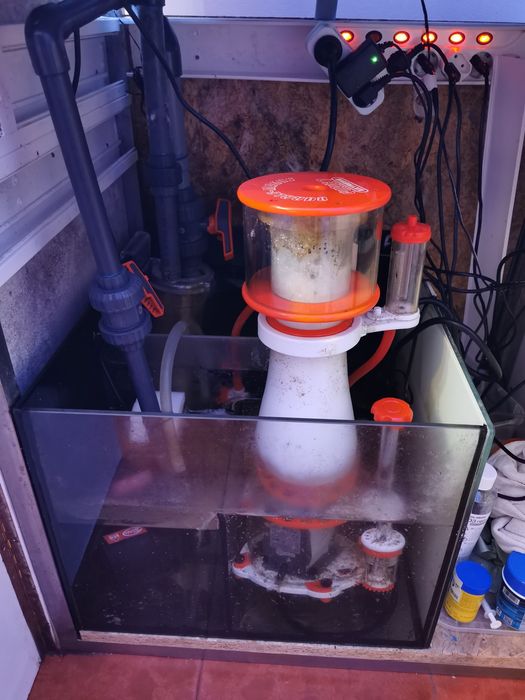 Aquário água salgada completo