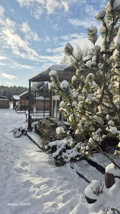 Dom pod lasem Cisza- Spokój.  AKCEPTUJEMY ZWIERZĘTA!!!