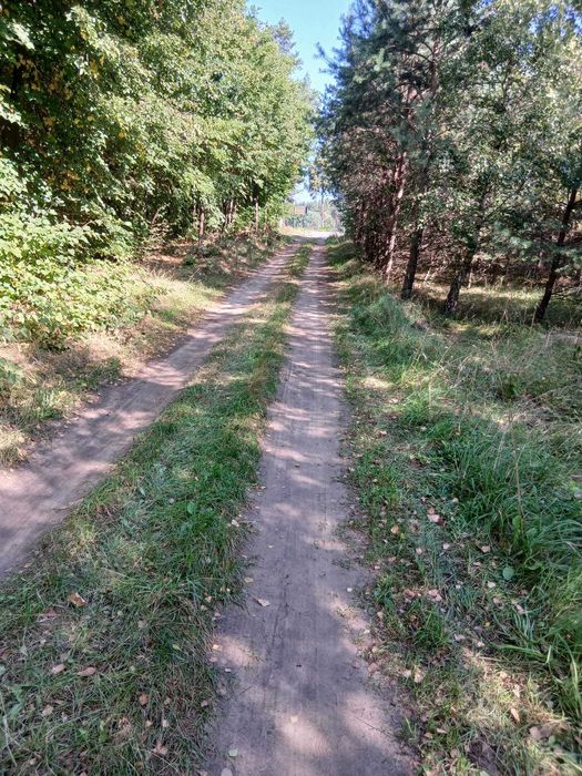 KASZUBY działki budowlane WZ Struga Gmina Stara Kiszewa pow. Kościerski. - Więcej