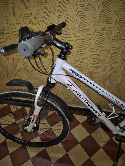 Rower damka 28 cali