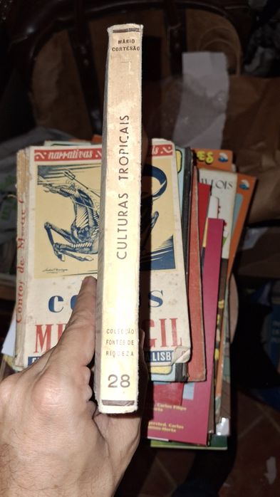 Culturas Tropicais Plantas Oleaginosas  Mário Cortesão