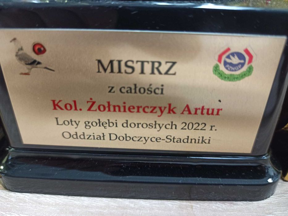 Likwidacja rozpłodu gołębie pocztowe