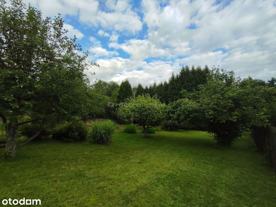 1615 m² - gotowy OGRÓD marzeń - Kamień