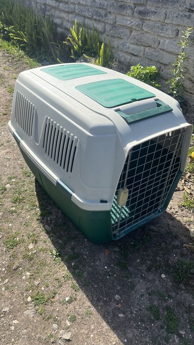 Trabsportadora cão