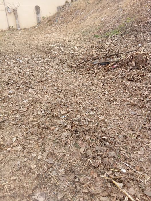 Desmatamento e Limpeza de terrenos