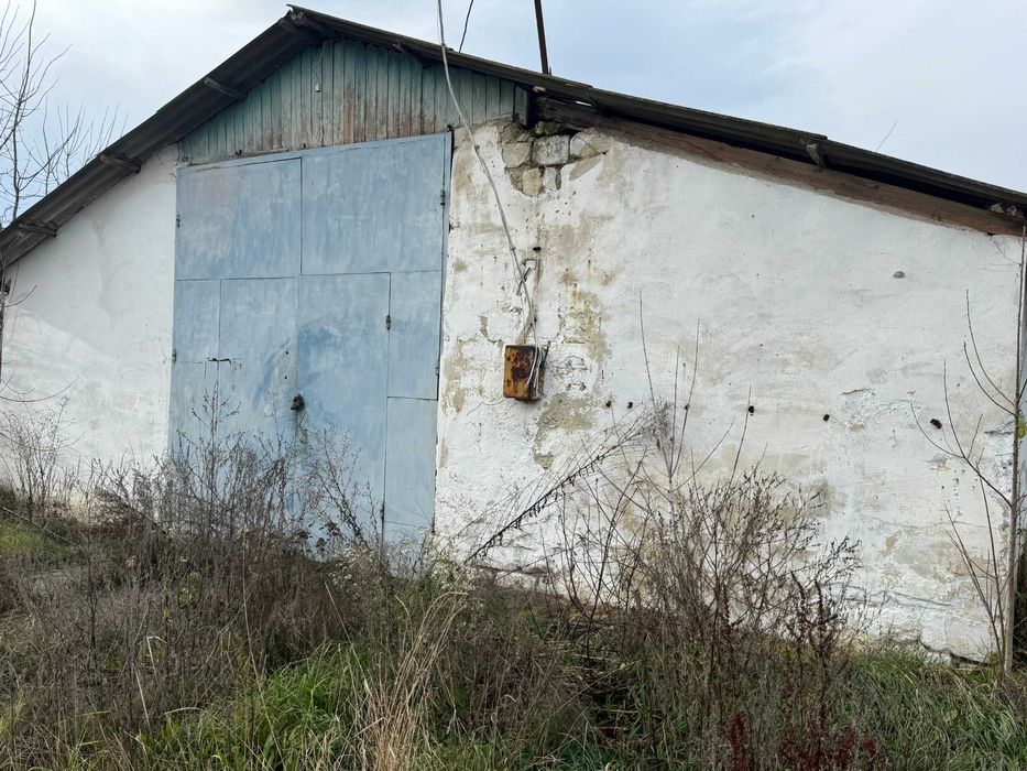 Нежитлові будівлі - с. Припруття, Чернівецька обл.