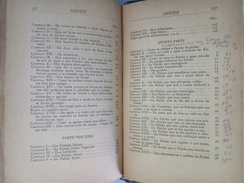 arte da caça e altaneria diogo fernandes ferreira