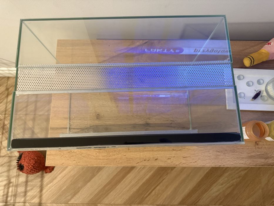 Terrarium dla malego gada