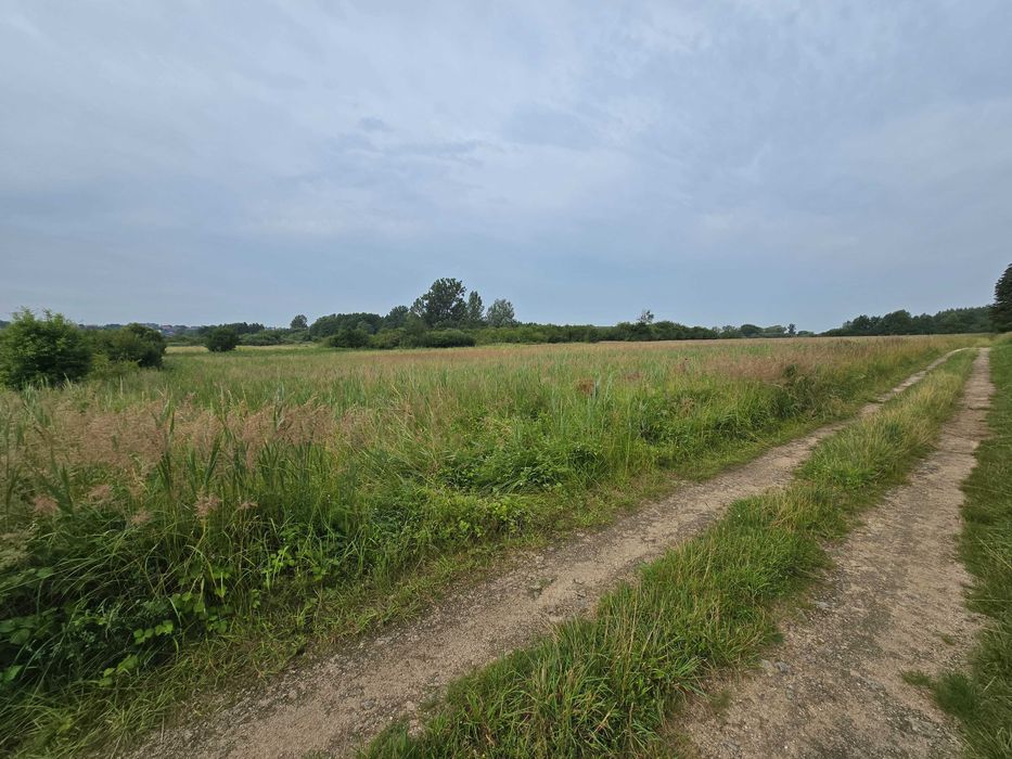 Działka pod staw i rekreacje 1.11ha - Mikułowice k.Buska-Zdroju - Widok 5