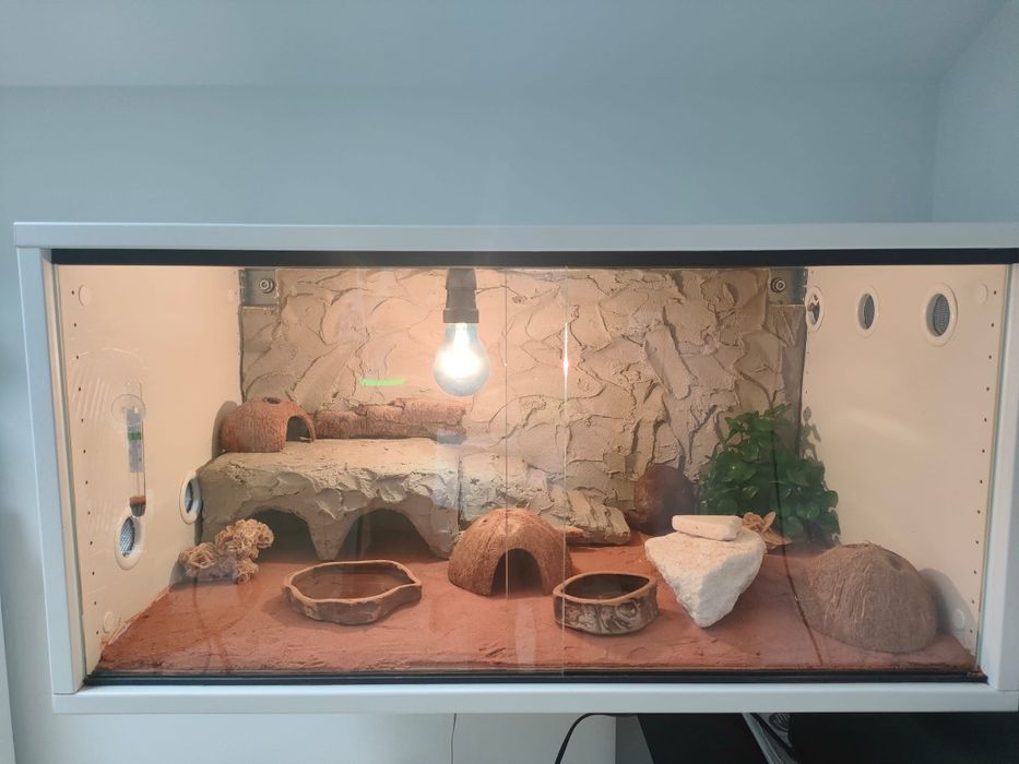 Profesjonalne podwieszane terrarium gekon lamparci