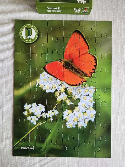 Puzzle 48 przyroda motyl