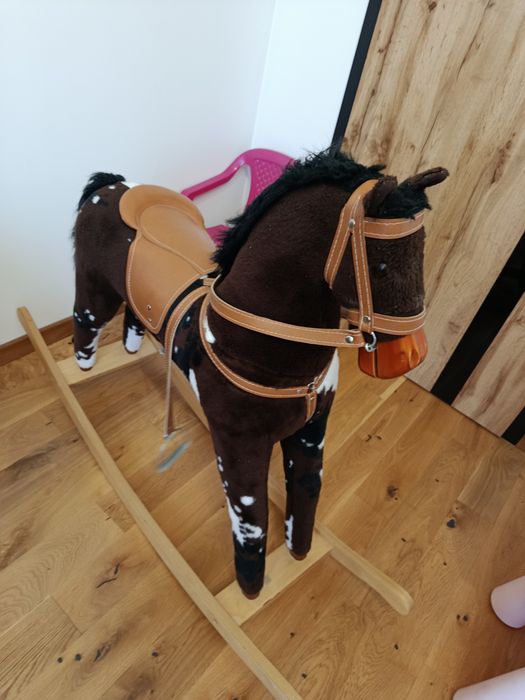 Konik na biegunach