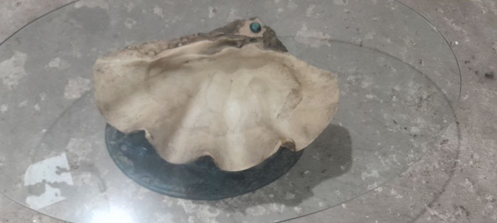 Mesa de centro em forma de CONCHA