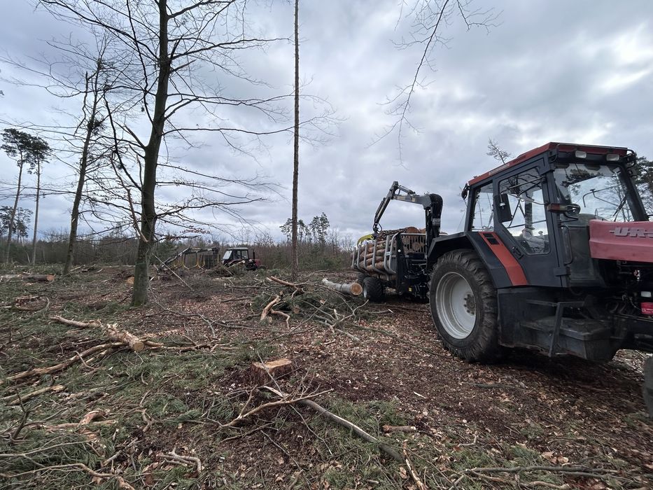 Wycinka drzew, karczowanie dzialek, mulczerowanie