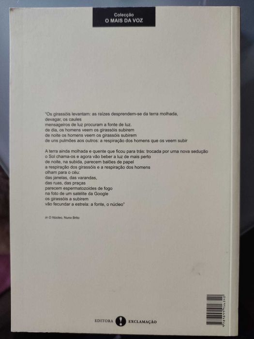 "As Abelhas Produzem Sol" - Nuno Brito
