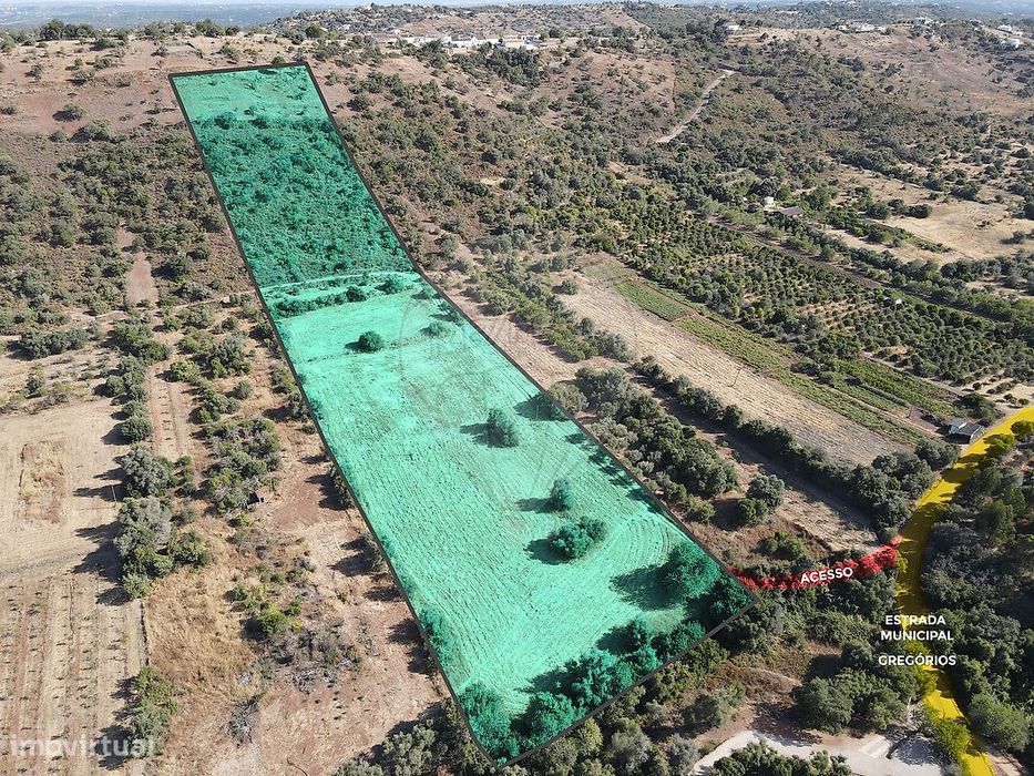 Terreno  para venda — São Bartolomeu de Messines, Faro