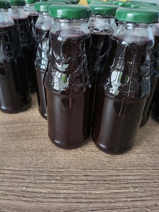 Sok z czarnej porzeczki 10 sztuk