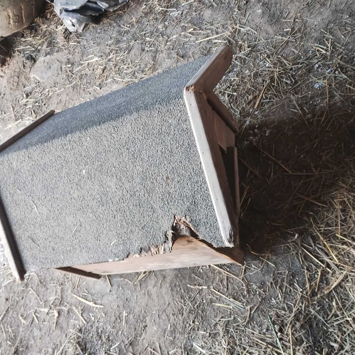 Sprzedam Buda dla psa