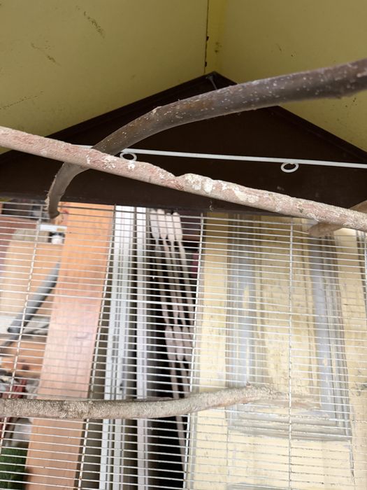 Gaiola para passaros grande