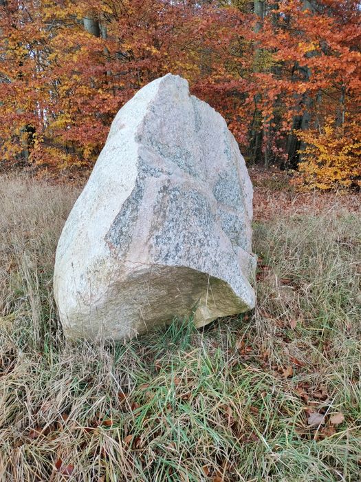 Duży głaz ozdobny