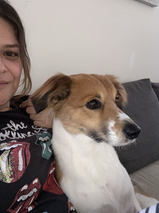 Pet sitter/ cuidadora de animais