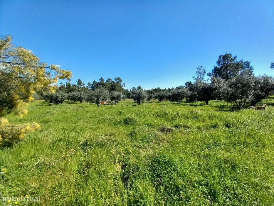 Quinta com 24750m2 Louriçal do campo