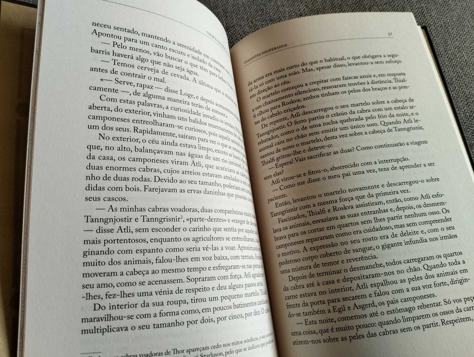 Livro "Thor e o poder de Mjolnir" de Sergio A. Sierra
