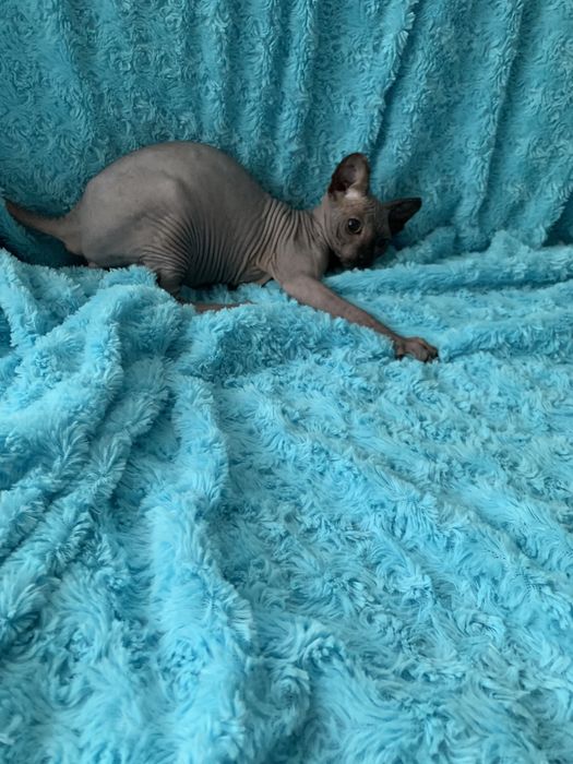 Хлопчик красун