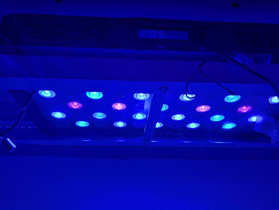 Luzes para agua salgada
