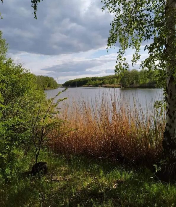 Продам будинок, с. Троїцке Лозівський р-н