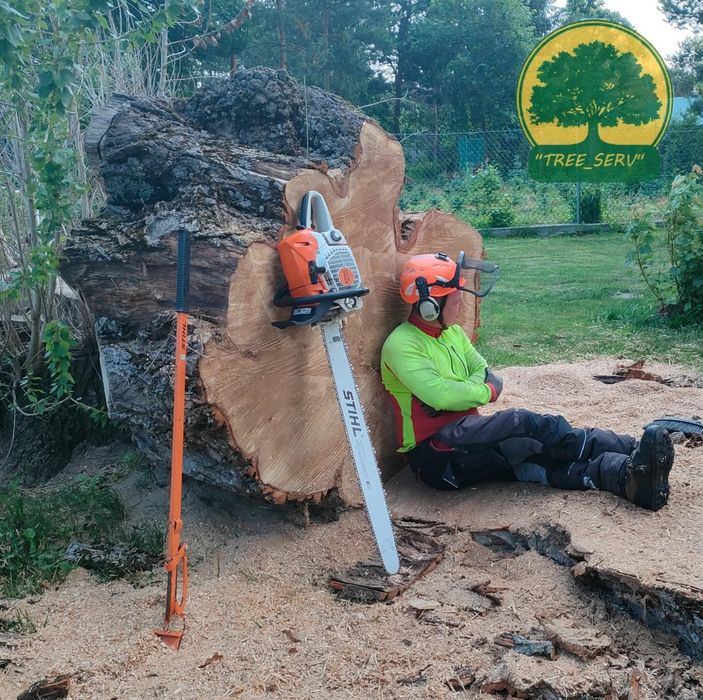 Tree Serv Wycinka oraz pielęgnacja drzew i krzewów.
