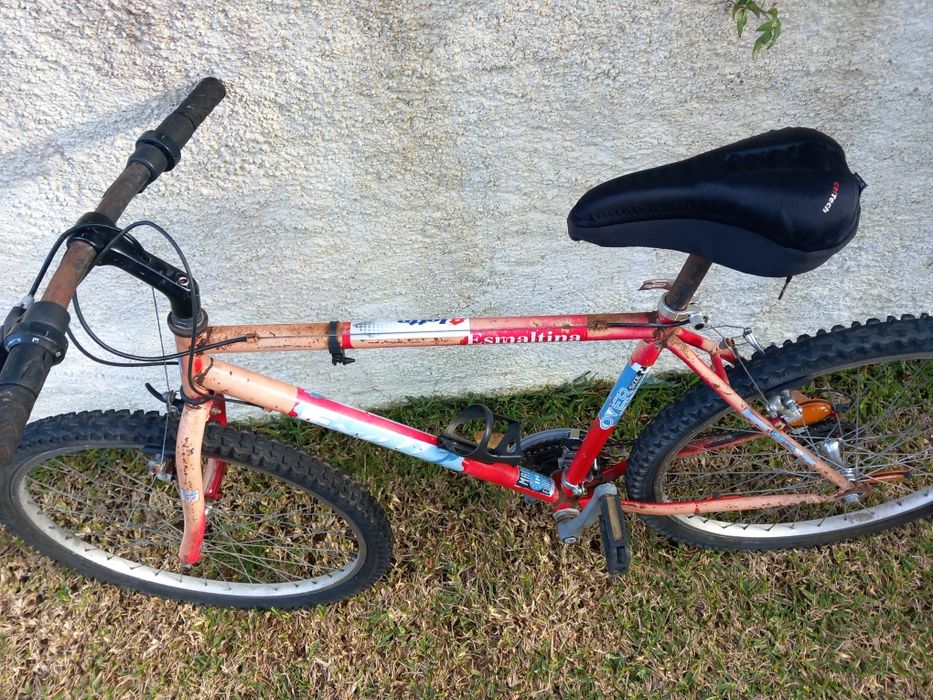 Esmaltina bicicleta roda 26