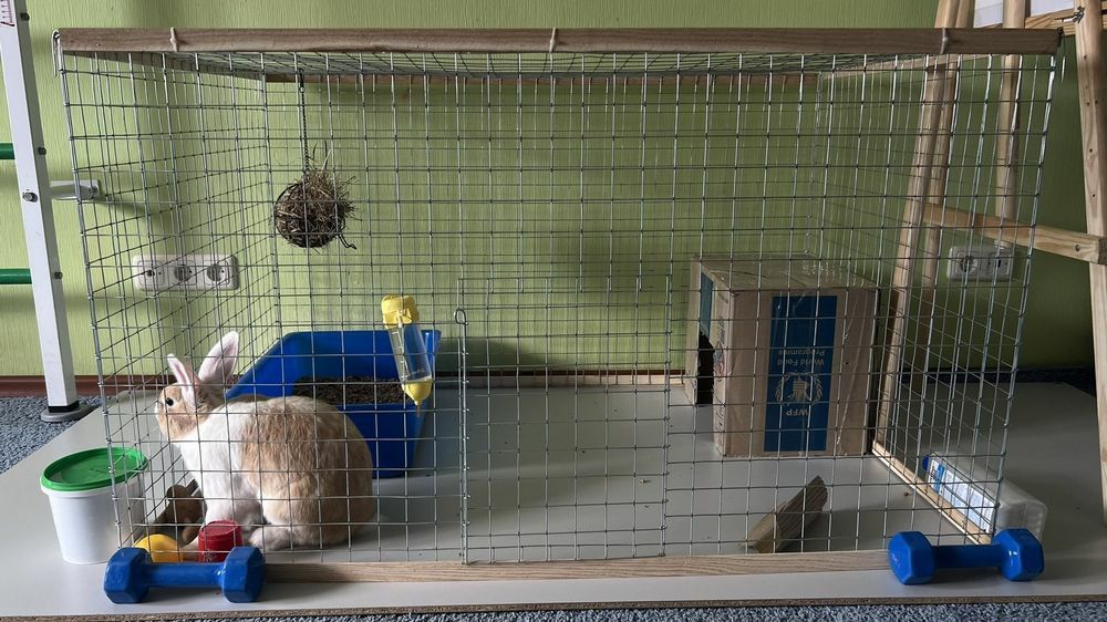 Манеж, Вольер, Клетка, Клітка, для собак, щенков, котят, кошек, кролик