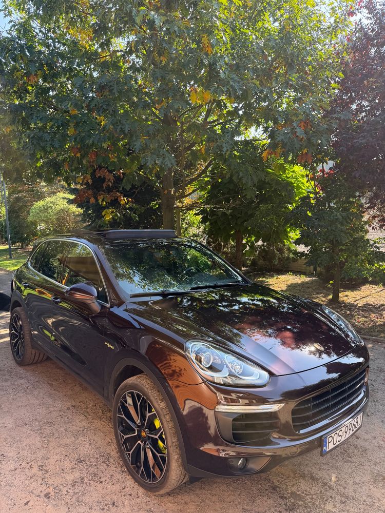 Cayenne
