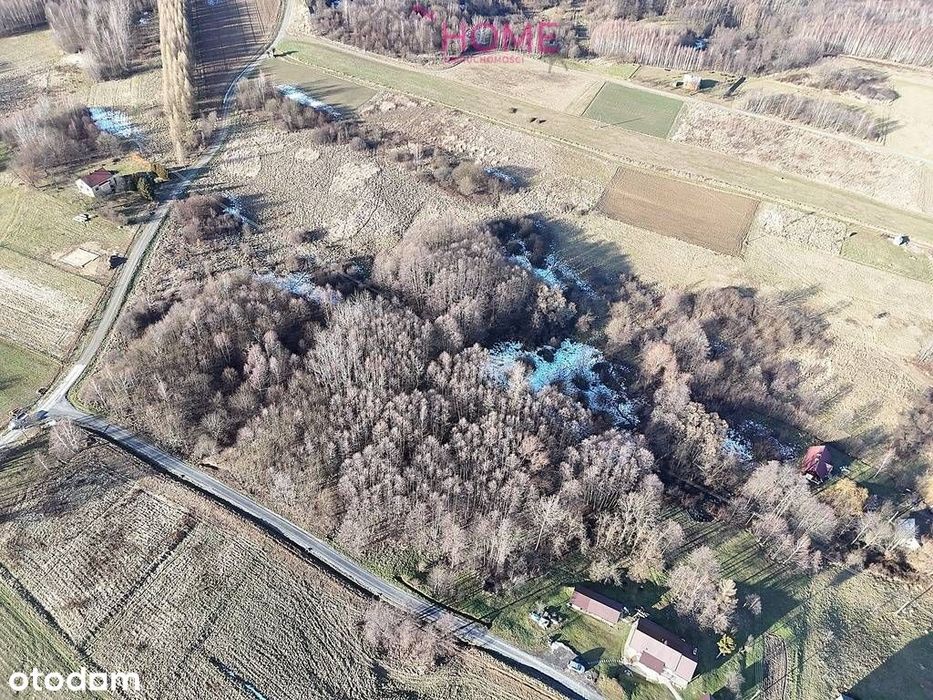 Działka na sprzedaż 94a - Nowy Borek