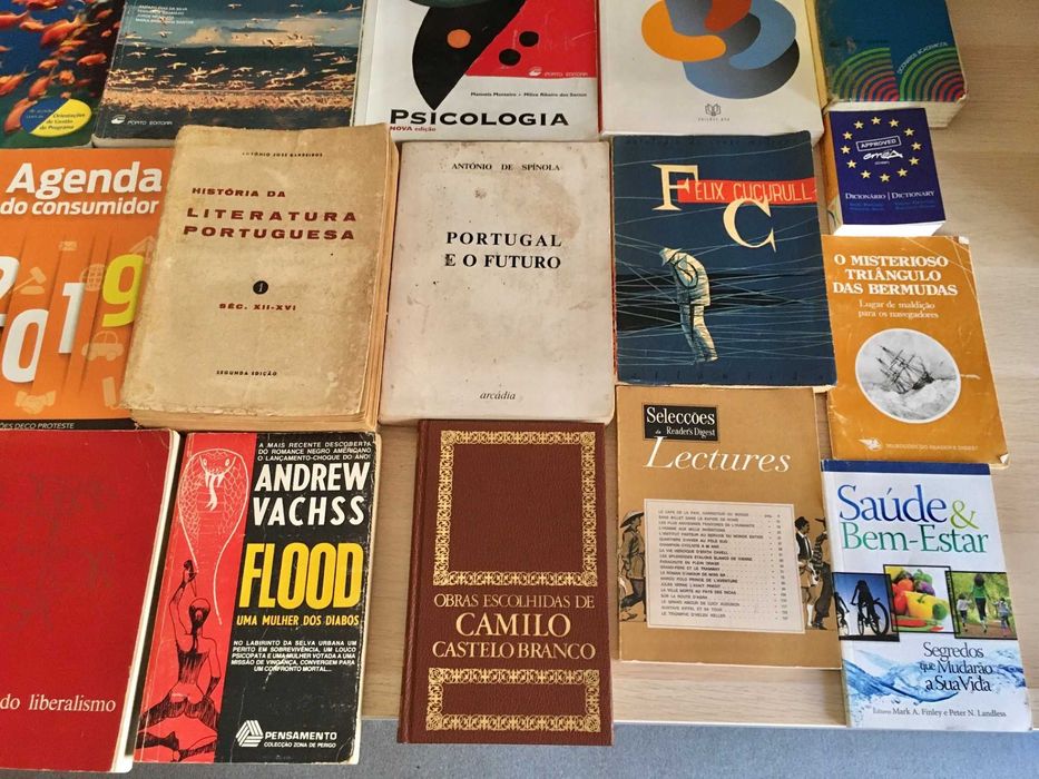 Lote de 31 livros