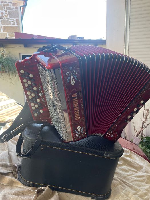 Vendo Concertina como Nova