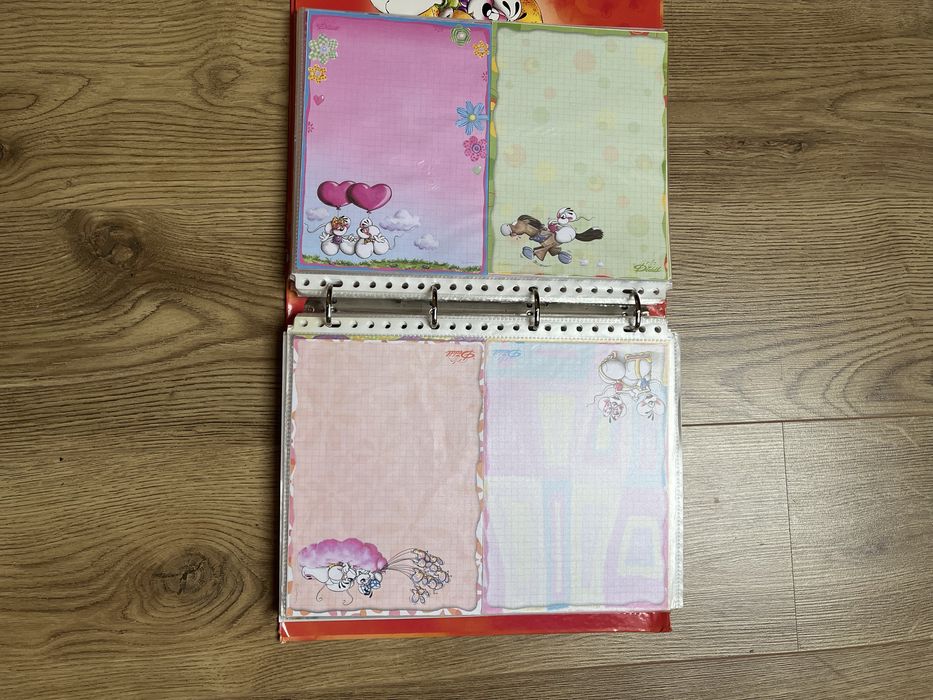 Segregator / karteczki Diddl