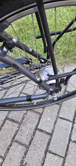 Rower męski Pegasus