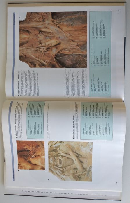 Atlas Anatomia Humana - 2 livros novos em Espanhol