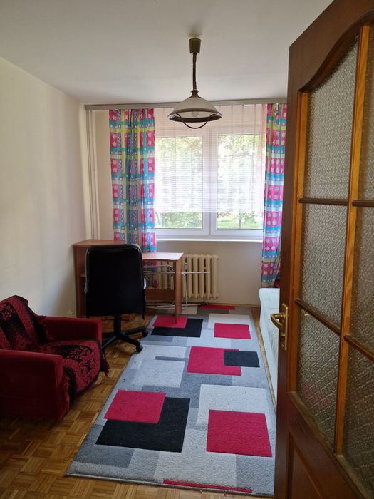 Zdjęcie 5